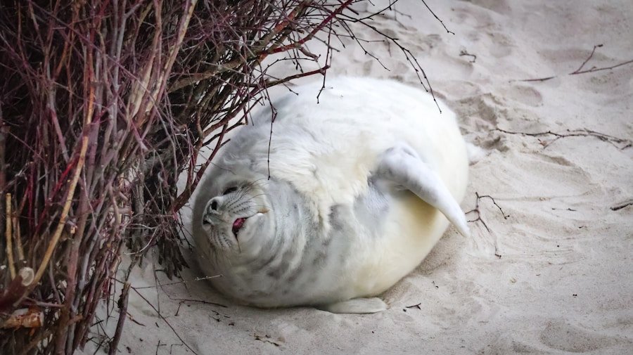 ¿Quieres ser una empresa eco-friendly? Descubre las certificaciones ecológicas para startups en LATAM