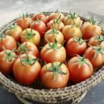 Sostenibilidad empresarial en América Latina: el papel crucial de la certificación ISO