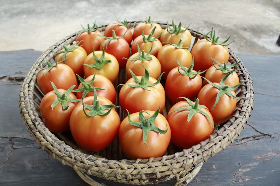 Sostenibilidad empresarial en América Latina: el papel crucial de la certificación ISO