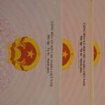 Ranking actualizado: Las auditorías ISO más confiables y asequibles en Málaga